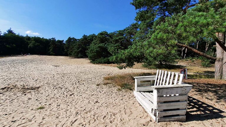 Nayuurgebied, Zuursche Duinen, Drenthe, Steenbergen